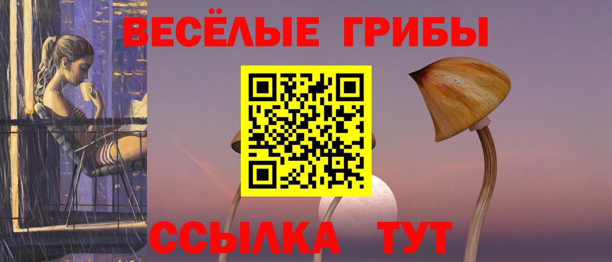 Псилоцибиновые грибы GOLDEN TEACHER  Вход с VPN  Жуковский 
